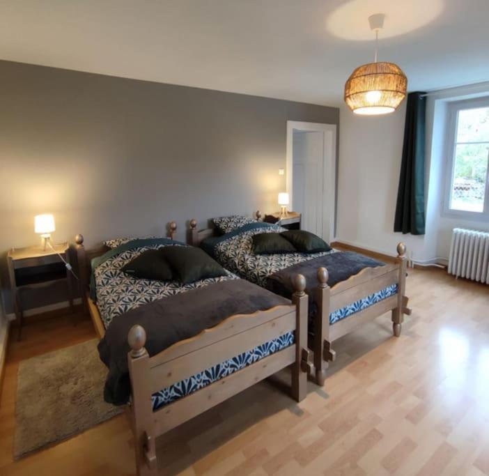 Gite Cosy Avec Avec Jardin Et Parking Privatifs - Hautes Vosges Saint-Ame ภายนอก รูปภาพ