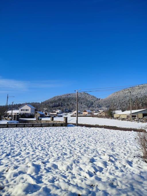 Gite Cosy Avec Avec Jardin Et Parking Privatifs - Hautes Vosges Saint-Ame ภายนอก รูปภาพ