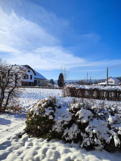 Gite Cosy Avec Avec Jardin Et Parking Privatifs - Hautes Vosges Saint-Ame ภายนอก รูปภาพ